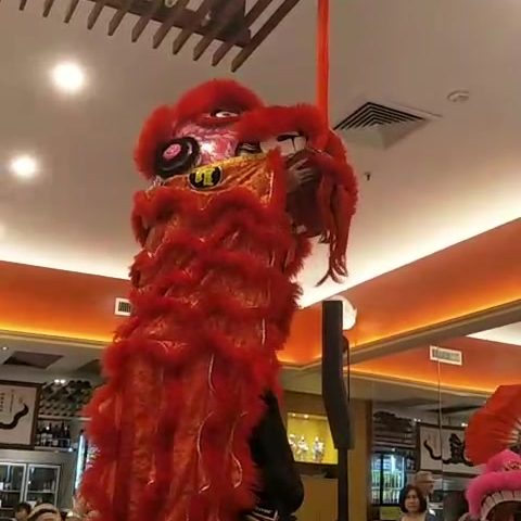 Malaysia Club of Queensland was live