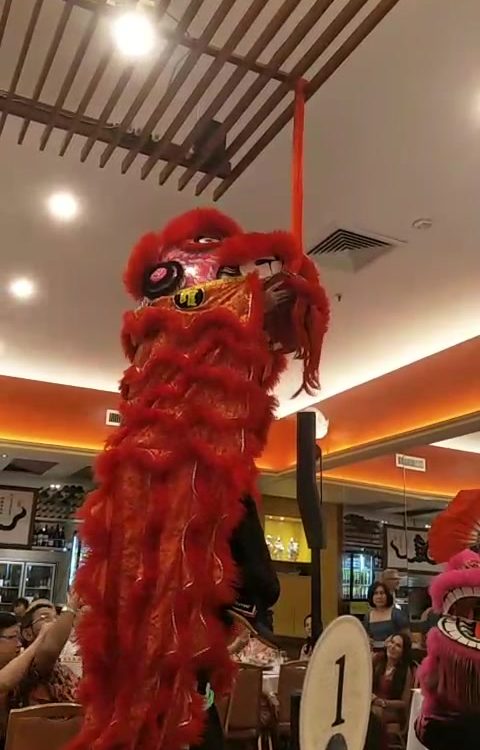 Malaysia Club of Queensland was live