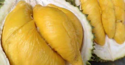 Final Durian Sale For 2019