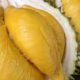 Final Durian Sale For 2019